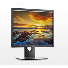 Dell Professional 19