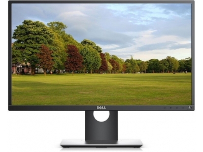 Dell 24 inch Full HD BACKLIT LED - P2417H  Monitor(Grey)